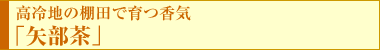 【高冷地の棚田で育つ香気 「矢部茶」】
