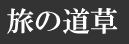 ̓